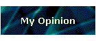 My Opinion
